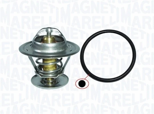 Thermostat, coolant (352317101260)