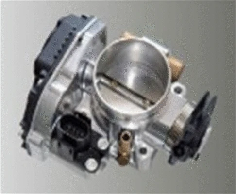 Throttle Body (359000602800)