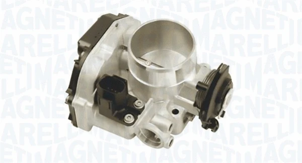 Throttle Body (802000000098)