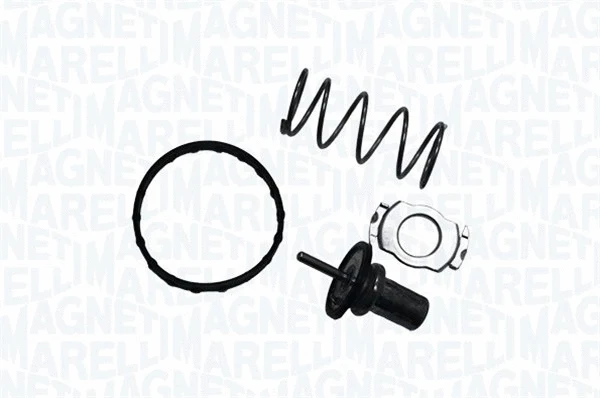 Thermostat, coolant (352079988000)