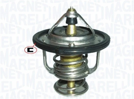 Thermostat, coolant (352317100750)