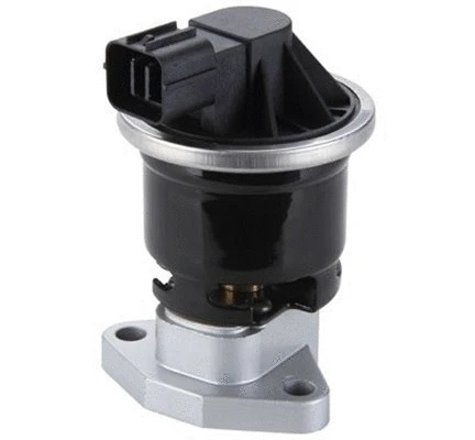 EGR Valve (571822112114)