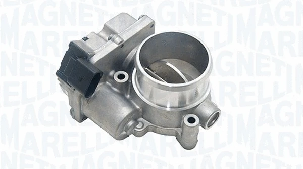 Throttle Body (802000000003)