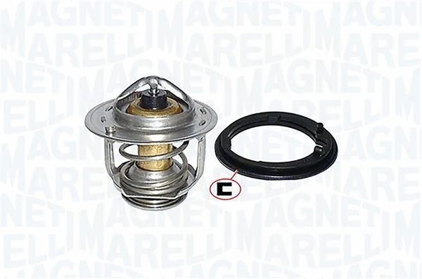Thermostat, coolant (352317000500)