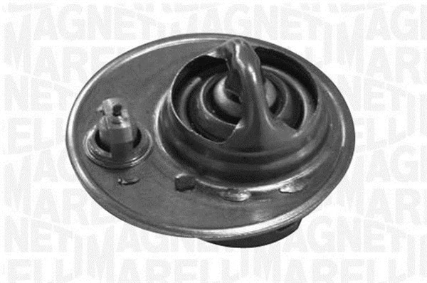 Thermostat, coolant (352056188000)
