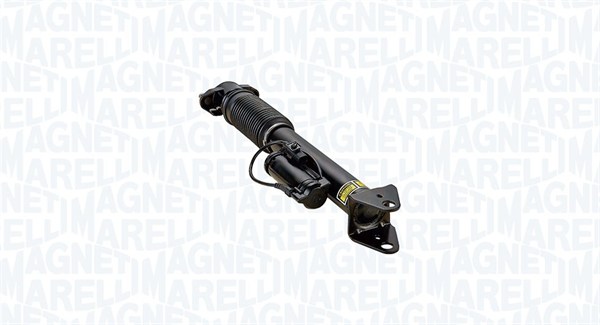 Air Suspension Strut (350016600001)