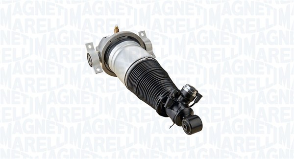 Air Suspension Strut (350019100001)
