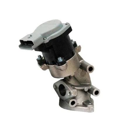 EGR Valve (571822112032)