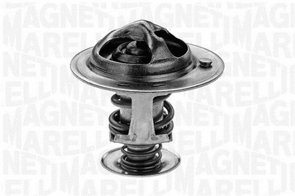 Thermostat, coolant (352044677000)