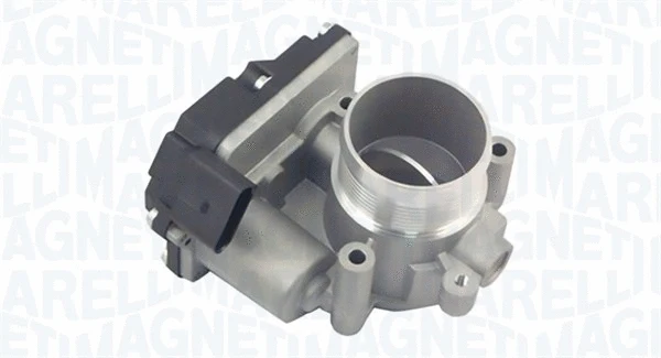 Throttle Body (802000000034)