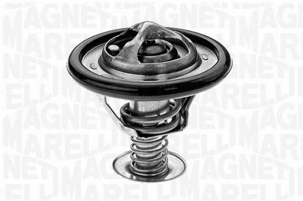 Thermostat, coolant (352029988000)