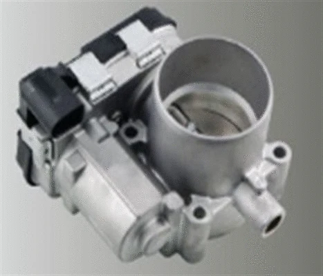 Throttle Body (359000602590)