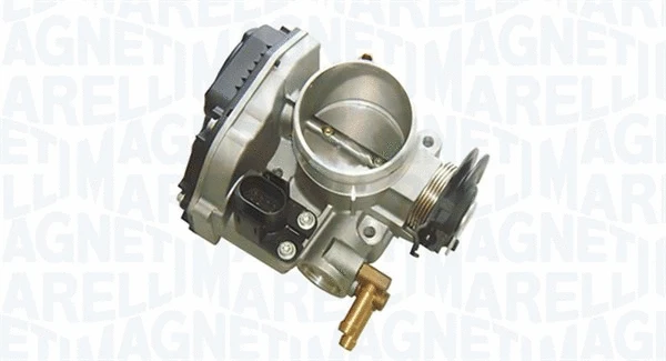 Throttle Body (802000000092)