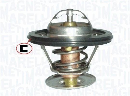 Thermostat, coolant (352317101180)