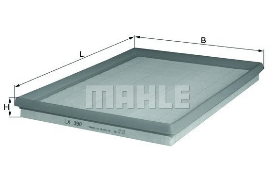 Air Filter (154074962500)