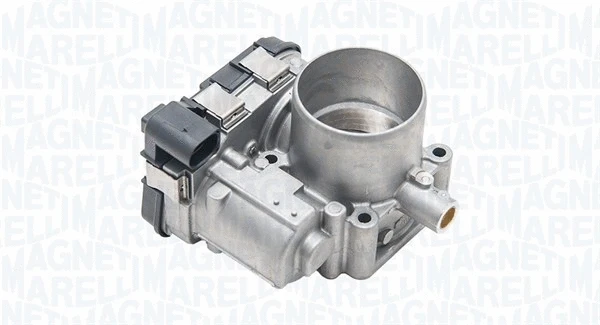 Throttle Body (802010992901)