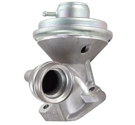 EGR Valve (571822112100)