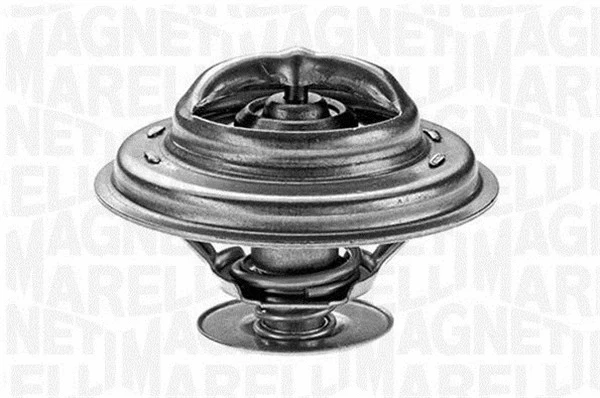 Thermostat, coolant (352027388000)