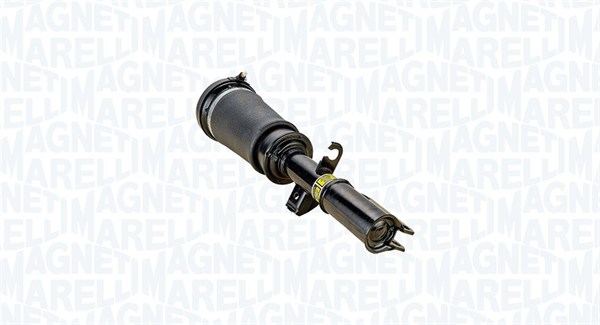Air Suspension Strut (350502000001)