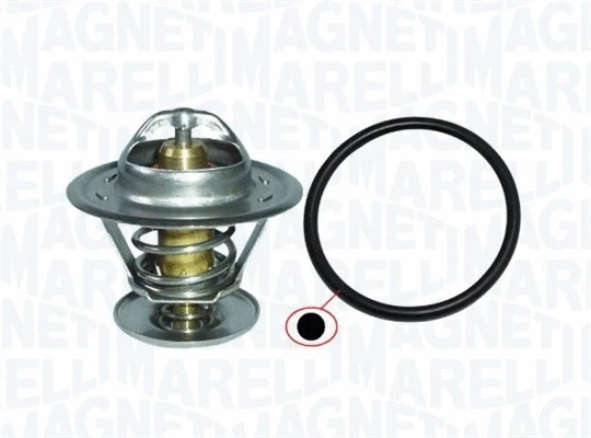 Thermostat, coolant (352317002310)