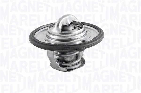 Thermostat, coolant (352072682000)
