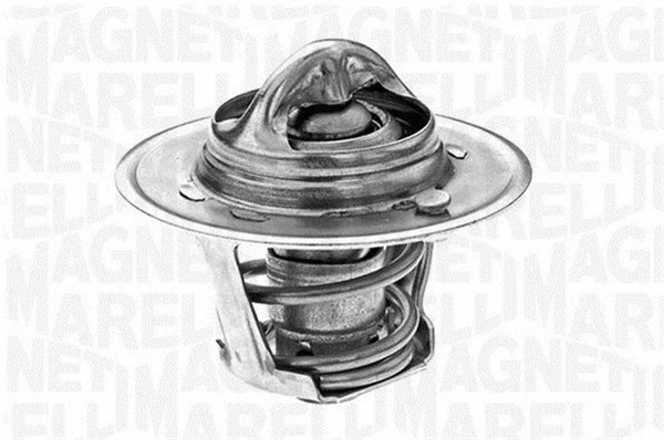 Thermostat, coolant (352042182000)