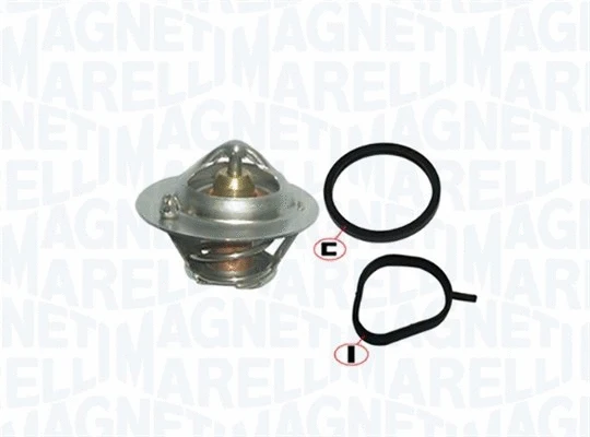 Thermostat, coolant (352317001870)