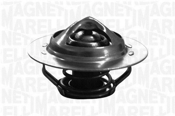 Thermostat, coolant (352064682000)