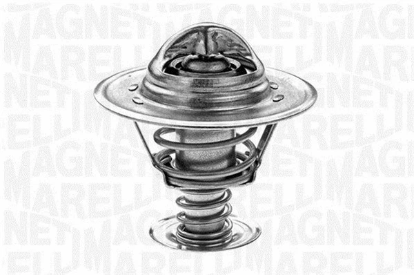 Thermostat, coolant (352022882100)