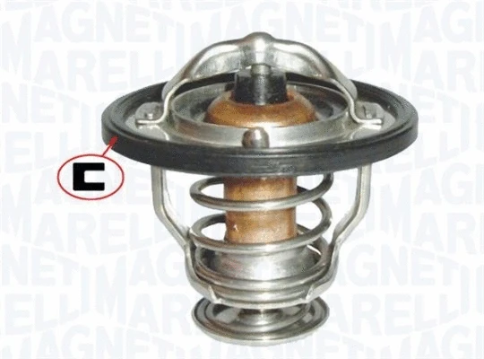 Thermostat, coolant (352317102130)