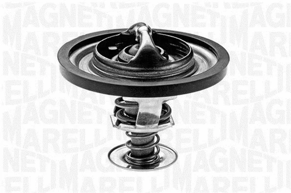 Thermostat, coolant (352030182000)
