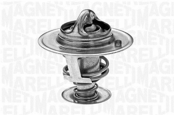 Thermostat, coolant (352032288000)