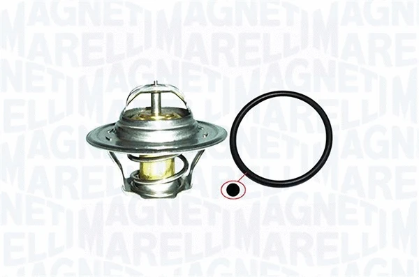Thermostat, coolant (352317001270)