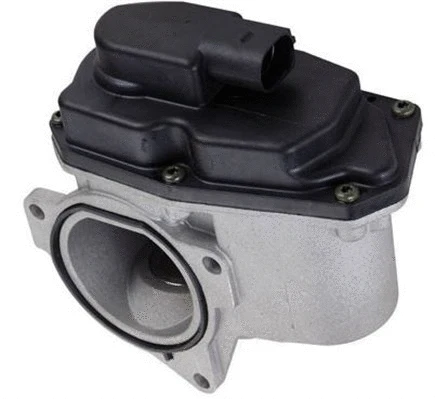 EGR Valve (359000603880)