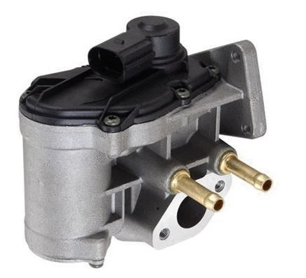 EGR Valve (359000604050)