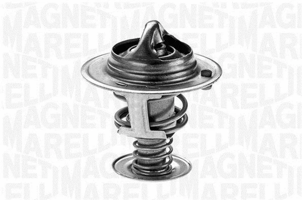 Thermostat, coolant (352021477100)