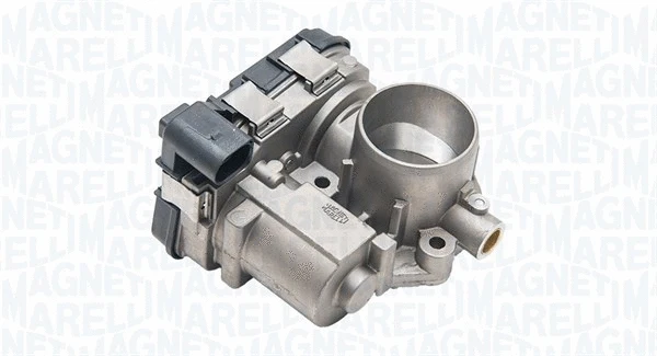 Throttle Body (802011975301)