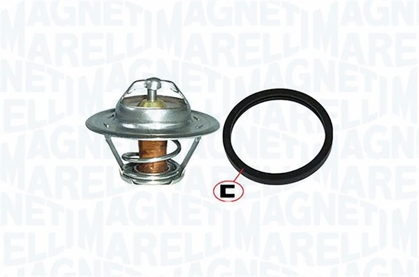 Thermostat, coolant (352317000760)