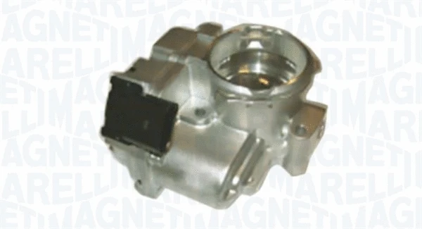 Throttle Body (802000000031)
