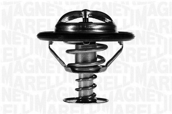 Thermostat, coolant (352063582000)