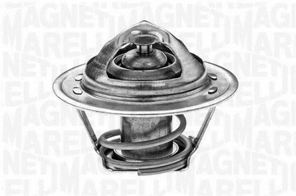Thermostat, coolant (352020029100)