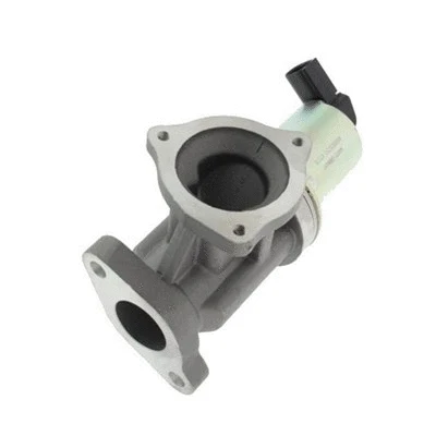 EGR Valve (571822112012)