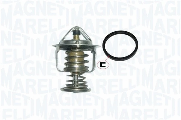 Thermostat, coolant (352317004520)