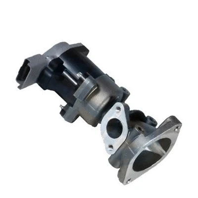 EGR Valve (571822112034)