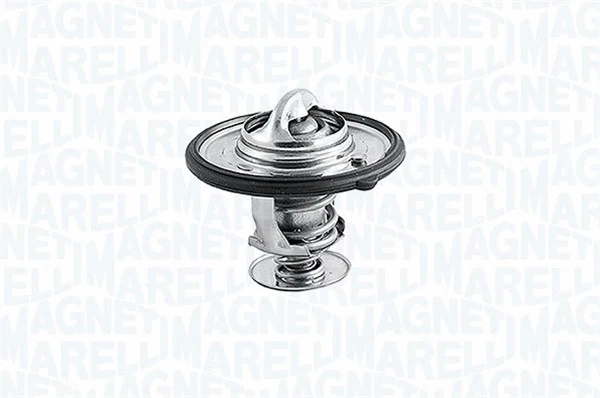 Thermostat, coolant (352072788000)