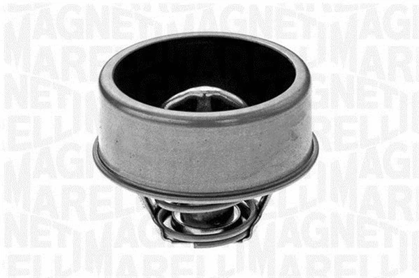 Thermostat, coolant (352023875000)