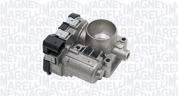 Throttle Body (802007506203)