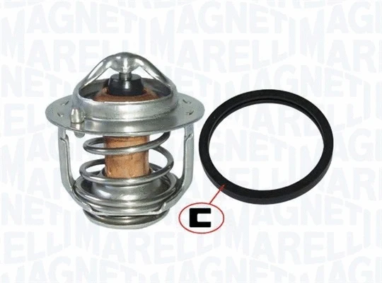 Thermostat, coolant (352317101210)
