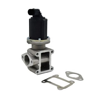 EGR Valve (571822112005)