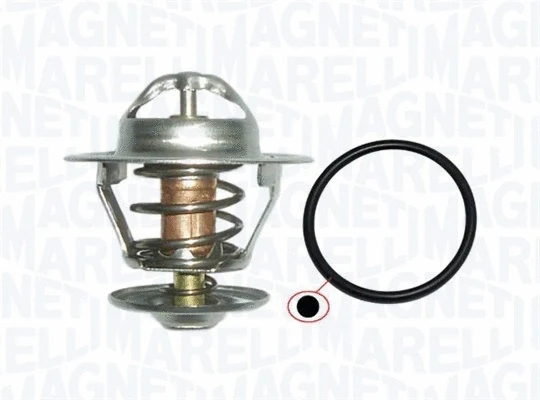 Thermostat, coolant (352317101320)